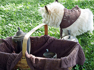 Hobo746_72dpi_small2