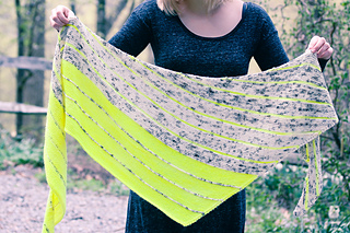 Kline_shawl_display2_the_knitting_vortex_small2