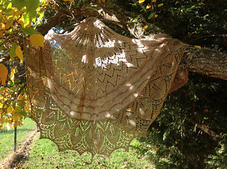 Image_small2