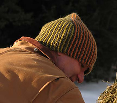 Farmer_quarters_cap_small_small