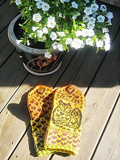 Photo_medium_small2