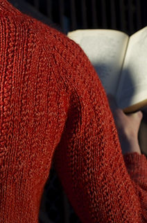 Vail_raglan_sleeve_detail_small2