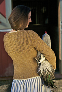 Hollis_back_small2