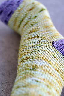 Housesocks05_small2
