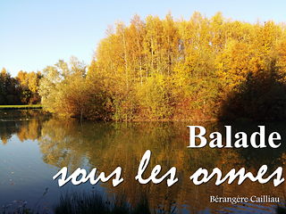 Couverture_4_ok_ravelry_small2