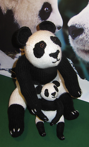 Panda_and_baby16_medium