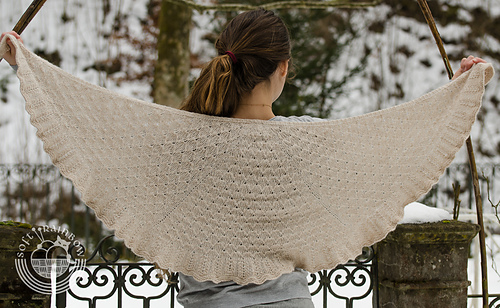 Snowfall-9158-2_medium