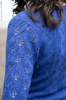 Poplarandelm_c_500_small2