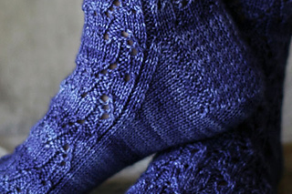 Asquidheel480_small2