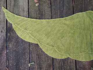 P6110135_small2