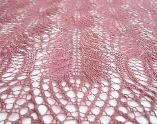 Macro_view_lace2_small2