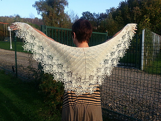 20121021_171917_small2