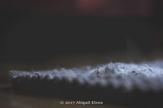 _dsc1347_small2