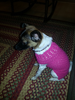 to how sweater crochet xs dog Gray pattern Corina XS by Ravelry: Dog Sweater