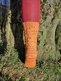 Autumnbacksmall_small2