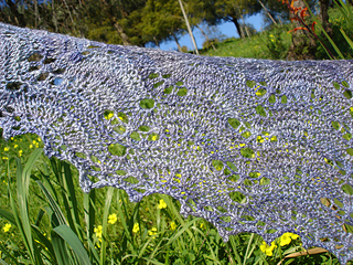Dsc03744_small2