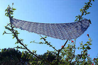 Dsc03820_small2
