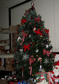 Tree4_small2