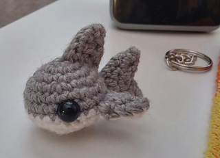 Tiny_shark_02_small2