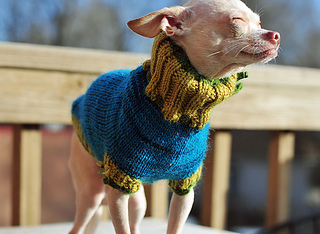 Pup1_small2