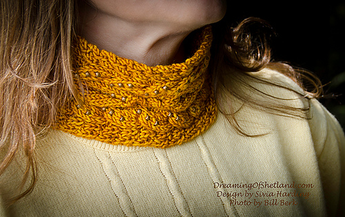 Hardingsiviaveronanecklettedgoldcowlshetlandsheepebookmccleahy-3324-copy_medium