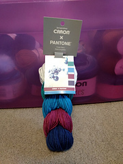 Ravelry: Caron X Pantone
