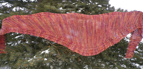 Orangeshannon7_medium