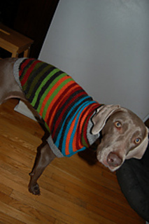 Dsc_0007_small2
