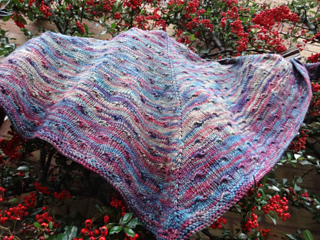 Wingspan_small2