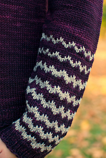 Rhinebeck_sleeve_small2