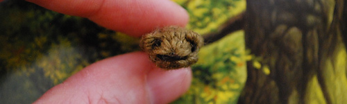 Dsc_0172frog_medium