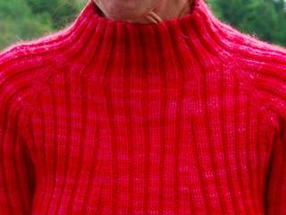 Rubbed_turtleneck_picture