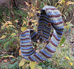 Tritonecowl2_0882_small