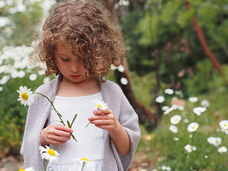 Pascalineshawl_daisies715-2_small2