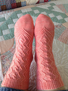 Image_small2