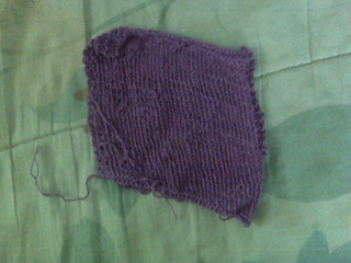 Camigauge_small2