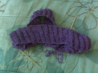 Camimarch_small2