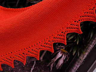 Edge_closeup__1000x750__small2