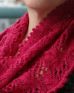 Dolphincowl10_6_14_small2