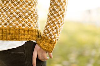 Rhinebeck_sweater-81_small2