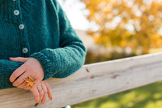 Rhinebeck_sweater-86_small2